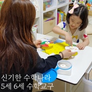 신기한 수학나라 5세 6세 수학 교구 활용 방문 수업 후기