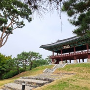 남한강 영월루! 마암과 삼층석탑