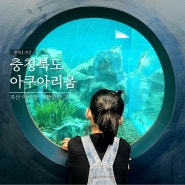 충북 괴산 아쿠아리움 실내 아이와 가볼만한 민물고기 전시관 입장료 무료