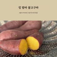 킹맘마 한입고구마, 맛있는고구마 추천