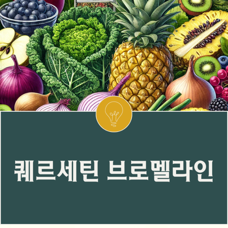 퀘르세틴 브로멜라인 효능 부작용 결합 효과 케르세틴 : 네이버 블로그