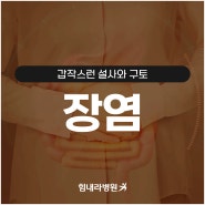 장염의 증상과 원인 및 치료, 부산내과 힘내라병원