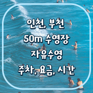 인천,부천 50m 수영장 자유수영 이용 요금, 시간, 수심, 주차 정리(+서울경기 50m 수영장)