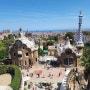 스페인 바르셀로나 자유여행/구엘공원