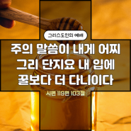 주의 말씀이 내게 어찌 그리 단지요 : 시편 119편 97절~111절