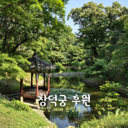 [서울 여행] 창덕궁 후원 - 예약 방법 및 현장 예매 관람 후기
