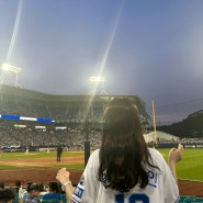 해민로그💙(삼성라이온즈파크)