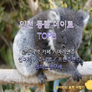 인천 동물원 아이들과 가기에도 좋은 곳 TOP6