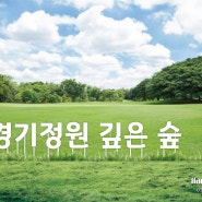 안산 글자 조형물제작. 공원간판 '경기정원 깊은숲' 포토존 사인 제작,시공 전문