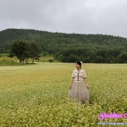 무쟈~게 넓어서 몹시 예쁜 오라동 메밀밭의 유채꽃과 메밀꽃.