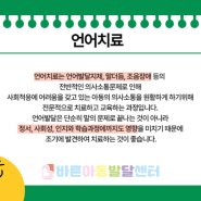 대전 둔산동 바른아동발달센터 언어치료