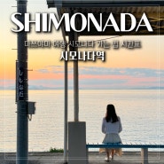 일본 소도시 마쓰야마 여행 시모나다 역 가는 법 시간표