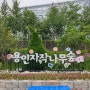 용인 여행 자작나무숲 베툴라 베이커리카페