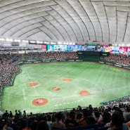 [일본여행] 도쿄돔 일본야구 직관 후기 (요미우리 vs 야쿠르트) NPB 일정 및 예매방법