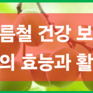 여름철 건강 보약 매실의 효능과 활용법