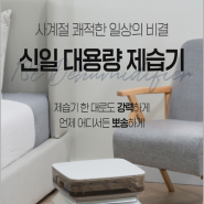 신일 대용량 제습기 추천(18L) SDH-HM190