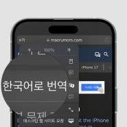 아이폰 사파리 번역 켜기 끄기