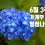 병원투어한 6월 셋째주 결산 (6/21일)