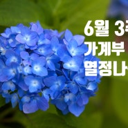 병원투어한 6월 셋째주 결산 (6/21일)