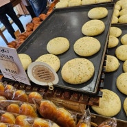 [안동] 안동을 대표하는 빵집! 크림이 듬뿍 들어있는 크림치즈빵 맛집 / 맘모스베이커리