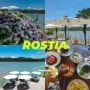 여수 수국 브런치카페 로스티아 (ROSTIA)