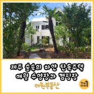제주단독주택 매매 애월 숲속의 하얀 316평 토지에 예쁜 집