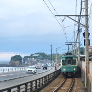 [도쿄 소도시 여행] DAY 2 에노덴 기차 여행 | 에노시마, 가마쿠라 코코마에, 시치리가하마, 하세, 가마쿠라