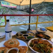 장흥 계곡 맛집 :: 숲속산장, 서울근교 양주 계곡식당