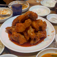 [서울 고속 터미널 맛집] 실내포차 분위기 좋은 야장맛집 | 한신치킨호프