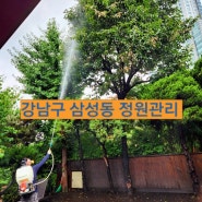 강남구 삼성동 회사 정원관리 예초 및 수목병충해 방제