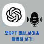 챗 GPT 음성비서 - 음성 보이스 활용해 보기