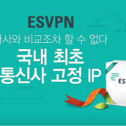 느린 무료 VPN 보다 빠른 국내 유료 VPN ESVPN