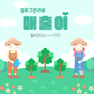 블로그 상위노출로 광고효과 보시고 매출 올리세요