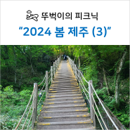 [2024 봄 제주] (3) 관음사 출발, 계단 실화냐?!