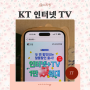 KT닷컴 인터넷 TV 요금제 종류 와이파이6 공유기 꿀 조합