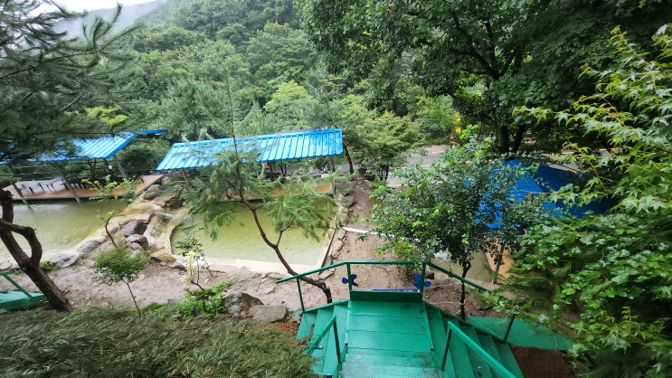 장성 가볼만한곳 남창계곡 남창농원 : 네이버 블로그