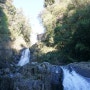 [뉴질랜드 워홀 D+105] Kaiate Falls, 망가누이산 둘레길에서 물개 4마리 봤다!!!!!