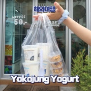 태국 치앙마이 님만해민 수제 그릭요거트 전문점 요코정 요거트 YOKOJUNG YOGURT