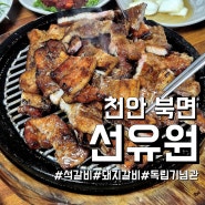 [선유원]천안 북면 독립기념관 근처 현지인 맛집, 단짠 석갈비 돼지갈비 최고야