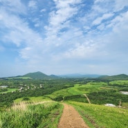 여름 오름 제주 새별오름 주차장 푸드트럭 쥬스