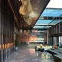 제주 엠버퓨어힐 : 신상 5성급 호텔 자연친화 리조트 (포레스트가든룸)