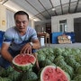중국의 이색직업 - 수박 감별사