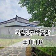 [경주] 박물관카페 #이디야 국립경주박물관점 찐후기