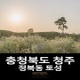 [충청북도 청주] 정북동 토성