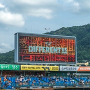 24.06.15 대전 이글스파크 직관 후기🦅