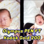 올림푸스 PEN FT | 코닥골드200 (Kodak Gold 200) | 생후 100일된 귀여운 팔삭둥이 필름사진 하프카메라