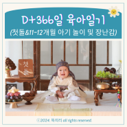 D+366일 둘째 첫돌 생일 돌잔치 돌스냅 셀프사진 기록 11~12개월 아기 놀이 및 장난감