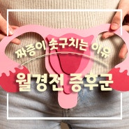 생리 전 기분 저하? 월경전 증후군(PMS)에 대한 진실