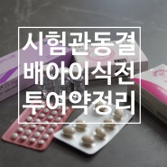 시험관 시술과정 동결배아 이식 준비기간 주사 질정 먹는약 투여 횟수 총정리