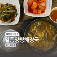 | 일품양평해장국 울산 달동점 | 얼큰하고 푸짐한 달동해장국맛집